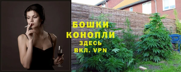 бошки Алзамай
