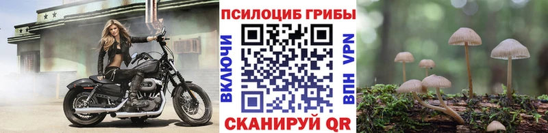 Галлюциногенные грибы мухоморы где купить Шатура